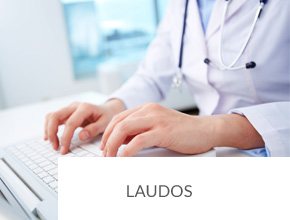 RIS Central de Laudos