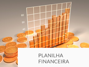 RIS Planilha Financeira