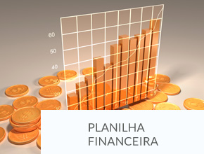 RIS Planilha Financeira